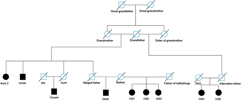 Example pedigree